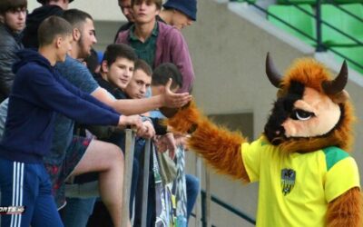 I Bisonti della Moldavia